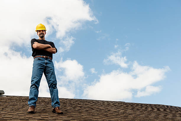 Best Roof Leak Repair  in Gaylord, MN